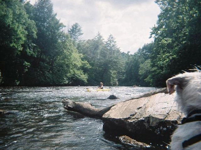 Toccoa River kayak rentals, Blue Ridge, GA Toccoa River kayak rentals, Blue Ridge, GA