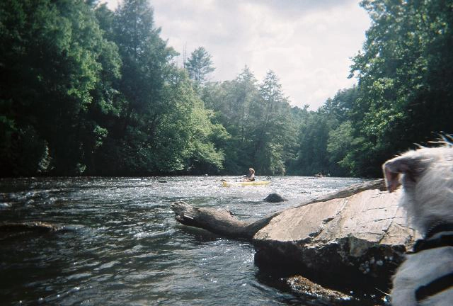 Toccoa River kayak rentals, Blue Ridge, GA Toccoa River kayak rentals, Blue Ridge, GA