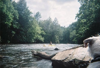 Toccoa River kayak rentals, Blue Ridge, GA Toccoa River kayak rentals, Blue Ridge, GA